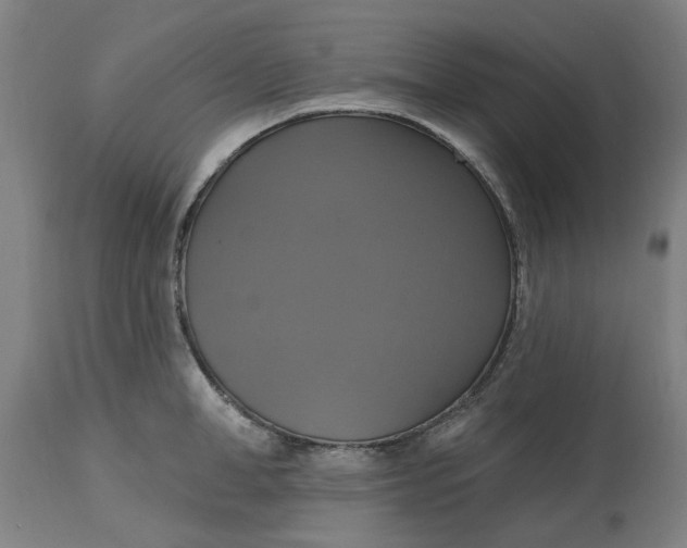 X0000114720998200911121728