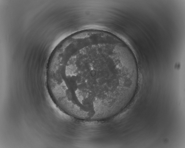 X0000114720999200911121728