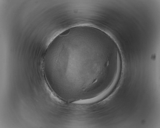 X0000114721001200911121728