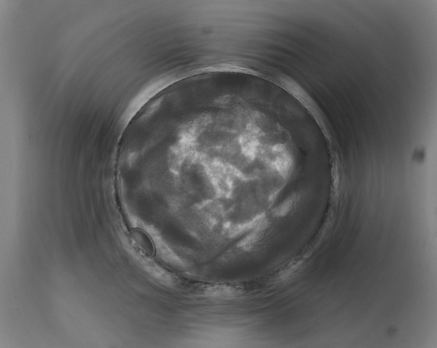 X0000114721002200911121728