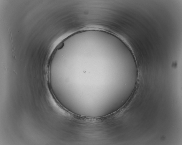 X0000114721003200911121728