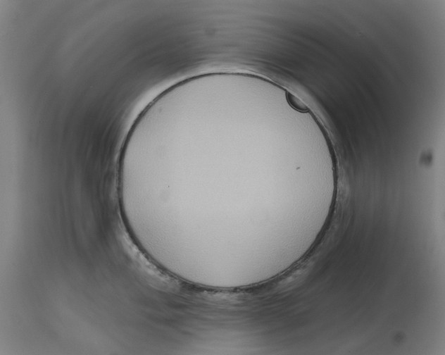 X0000114721004200911121728