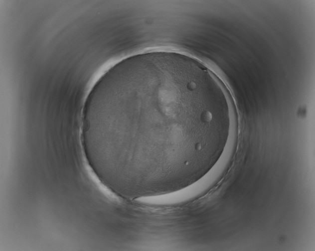 X0000114721005200911121728