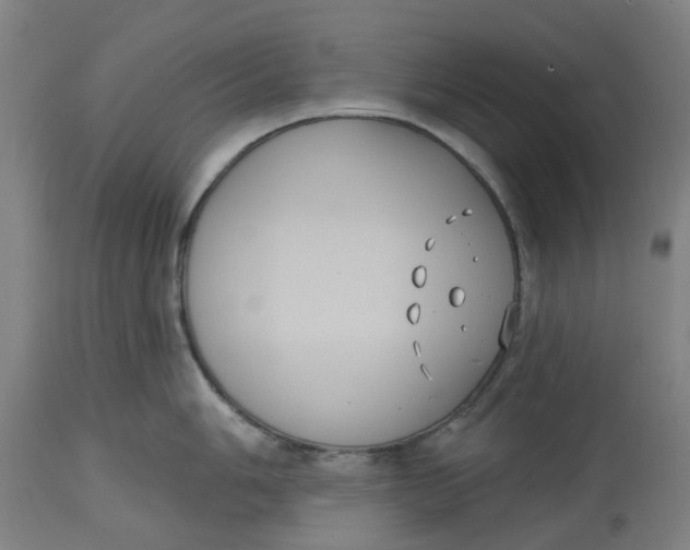 X0000114721006200911121728