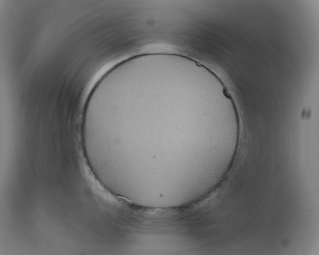 X0000114721008200911121728