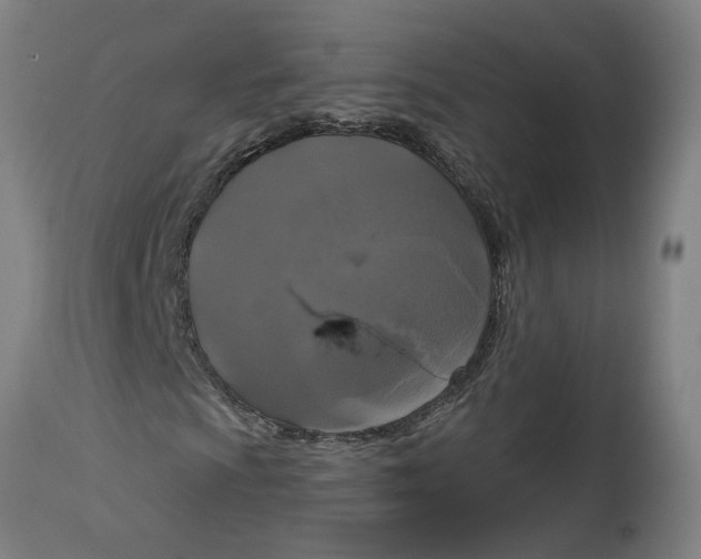 X0000114721009200911121728