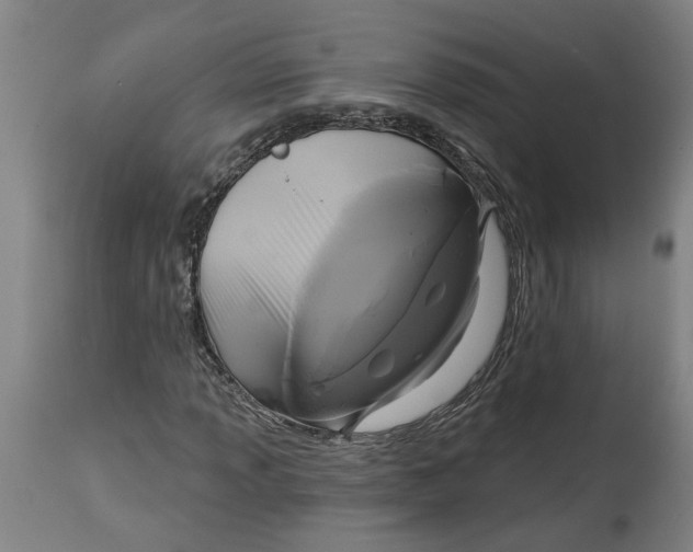 X0000114721013200911121728