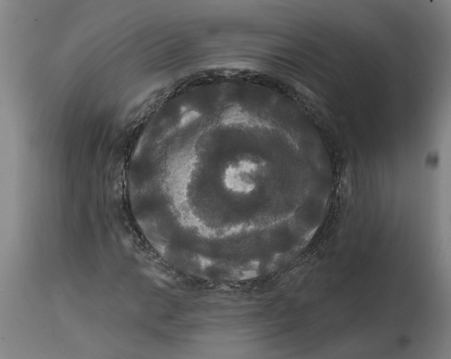 X0000114721014200911121728