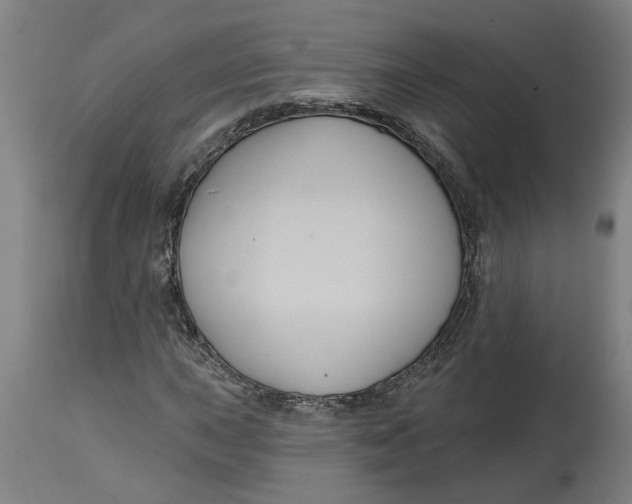 X0000114721015200911121728