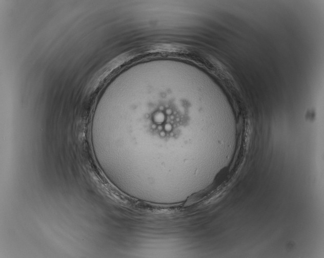 X0000114721017200911121728