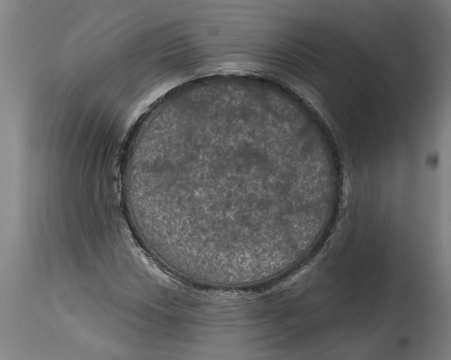 X0000114721018200911121728