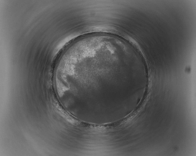 X0000114721019200911121728