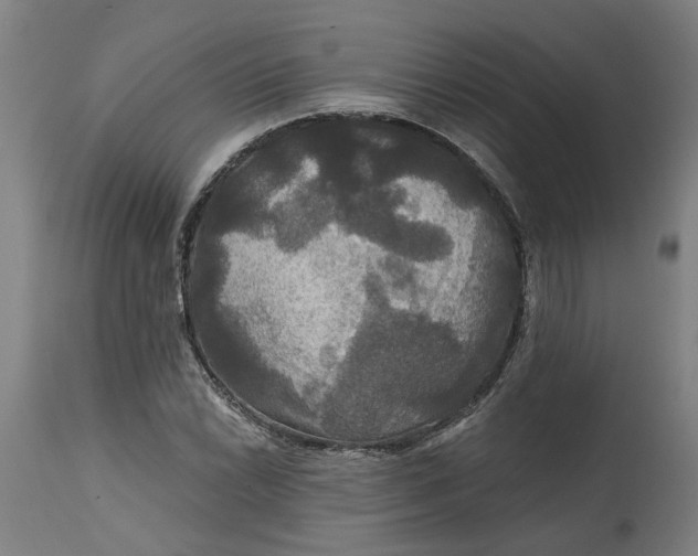 X0000114721022200911121728