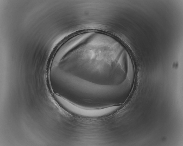 X0000114721024200911121728