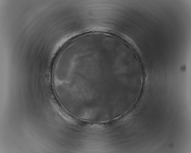 X0000114721027200911121728