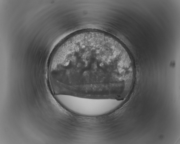 X0000114721028200911121728