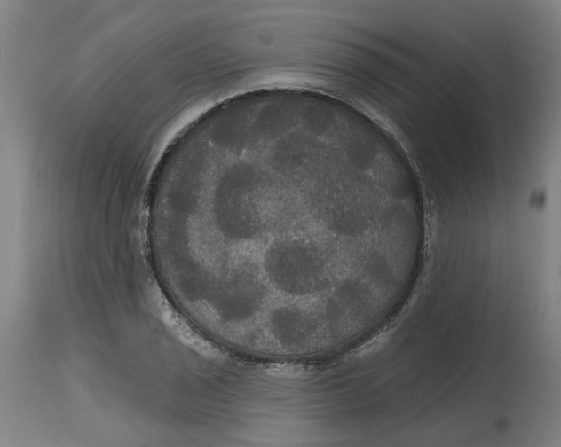 X0000114721029200911121728