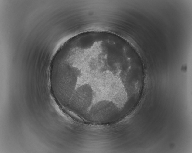 X0000114721030200911121728