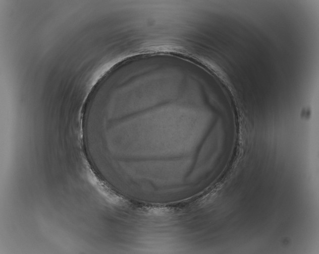 X0000114721031200911121728