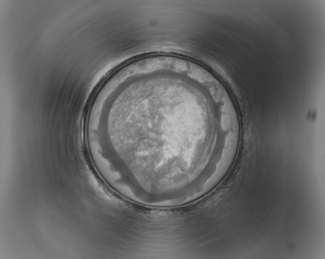 X0000114721032200911121728