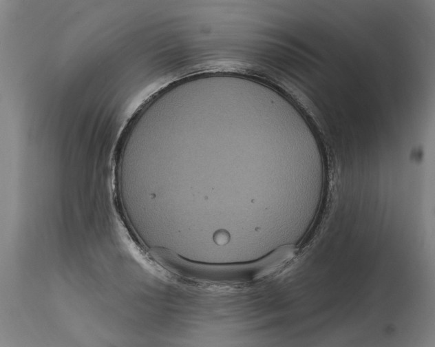 X0000114721034200911121728