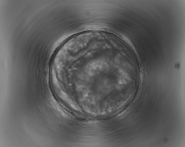 X0000114721035200911121728