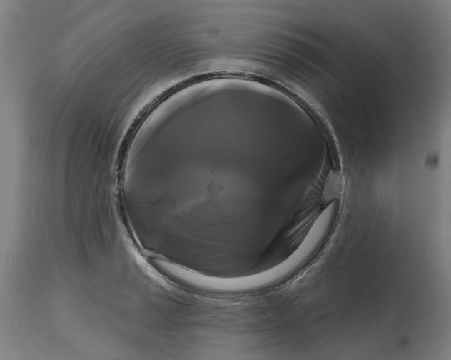 X0000114721037200911121728