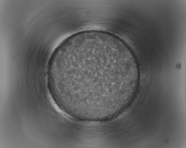 X0000114721038200911121728