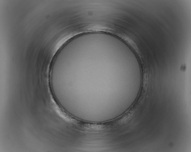 X0000114721039200911121728