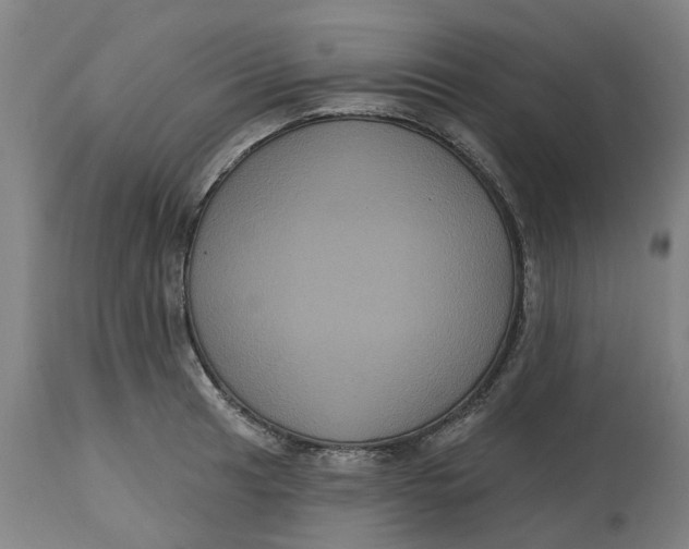 X0000114721041200911121728