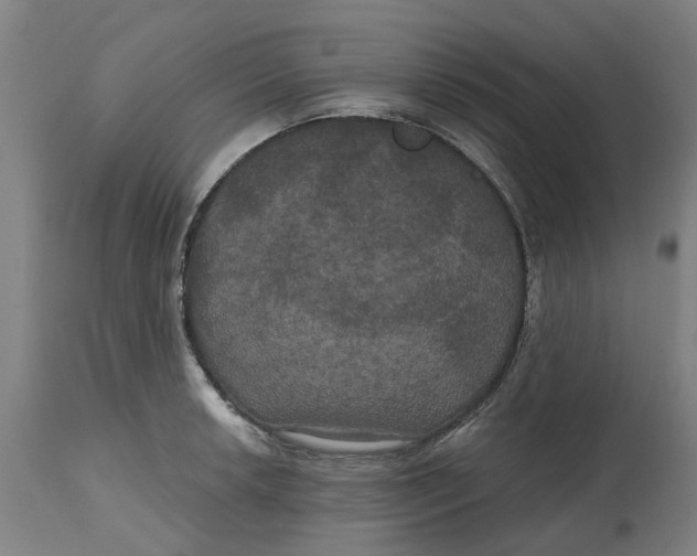 X0000114721042200911121728