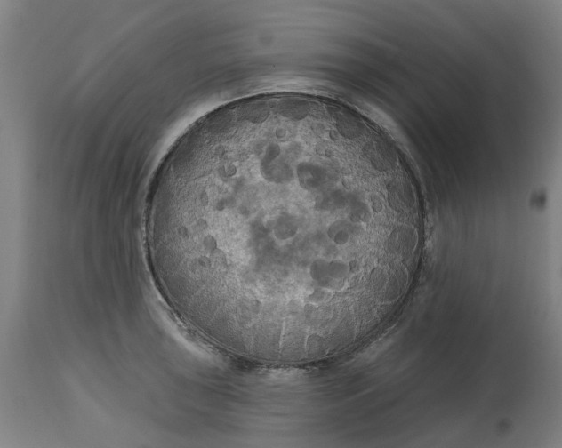 X0000114721043200911121728