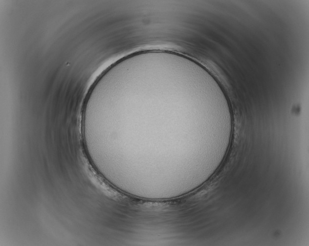 X0000114721044200911121728