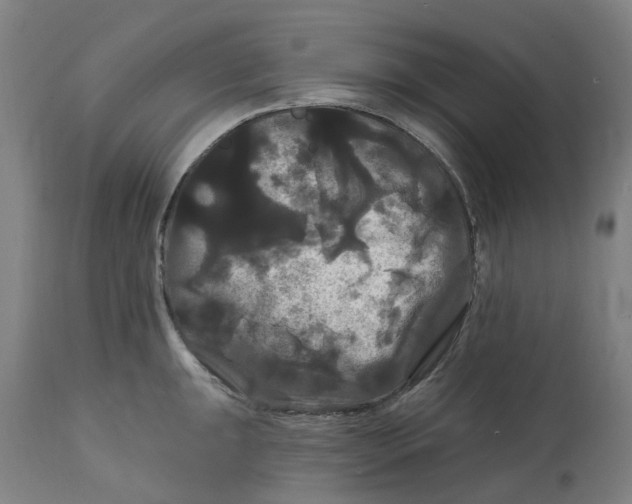 X0000114721047200911121728