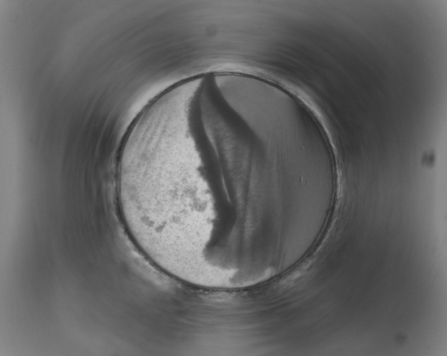 X0000114721048200911121728