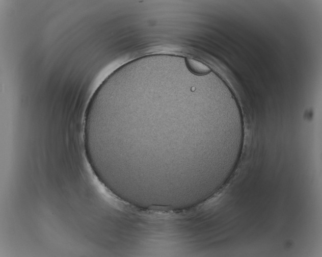 X0000114721050200911121728