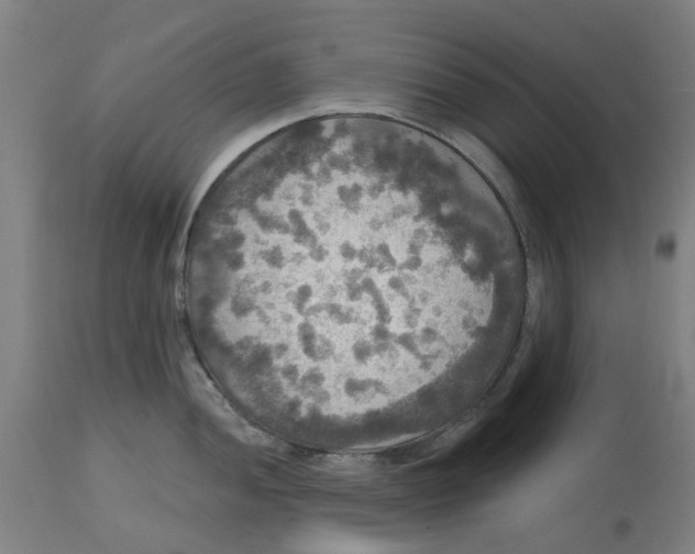 X0000114721052200911121728