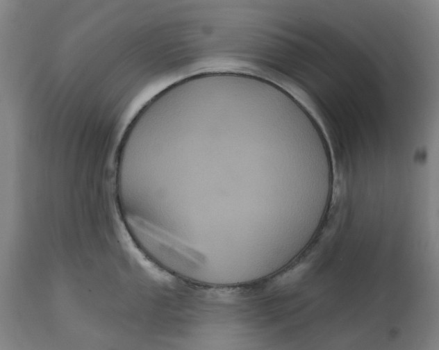 X0000114721053200911121728