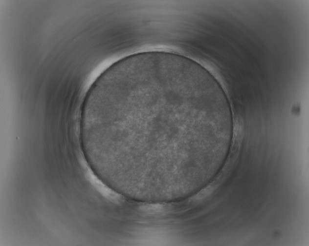 X0000114721054200911121728