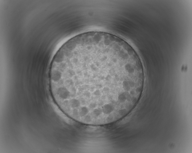 X0000114721056200911121728