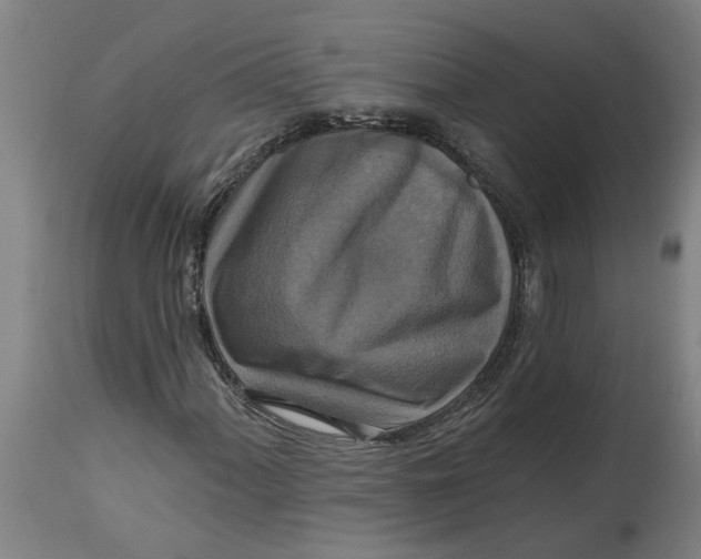 X0000114721060200911121728