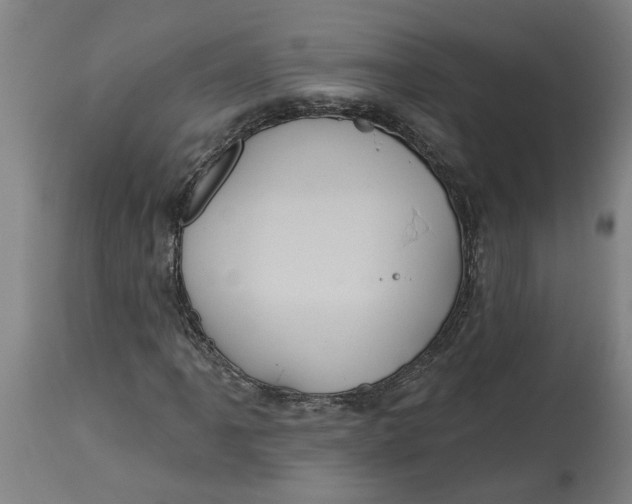 X0000114721061200911121728