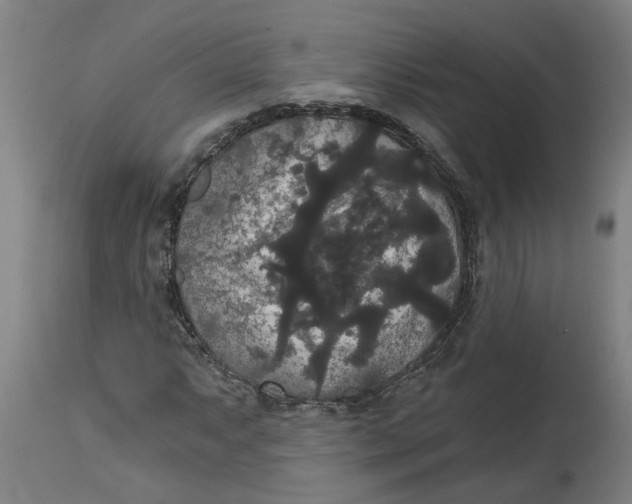 X0000114721063200911121728