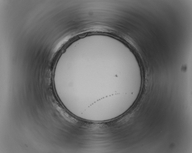 X0000114721067200911121727