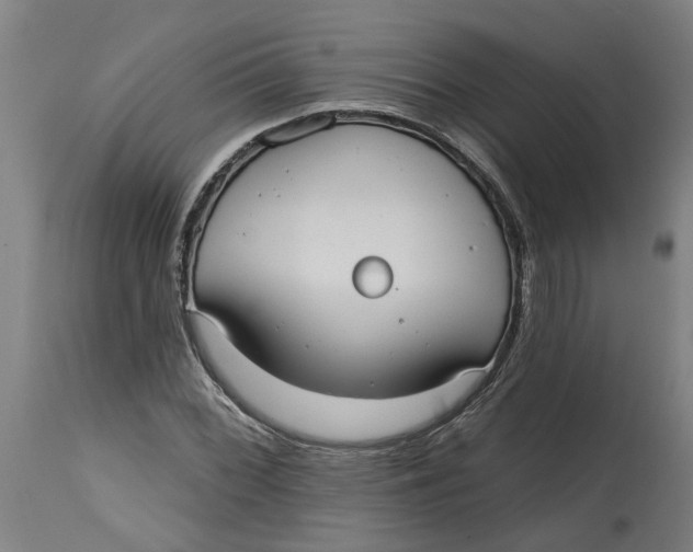 X0000114721068200911121727