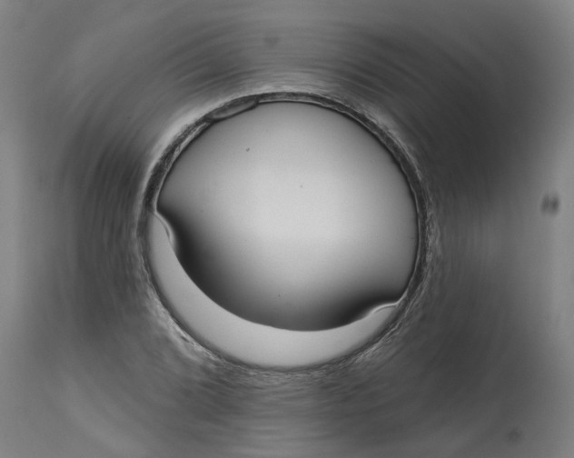 X0000114721072200911121727