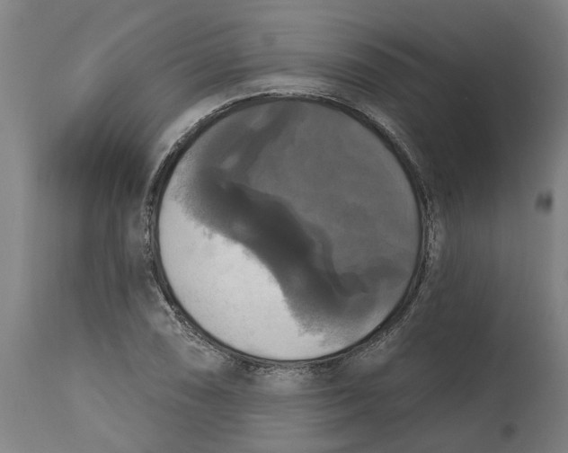 X0000114721074200911121727