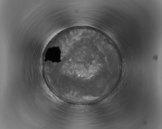 X0000114721076200911121727