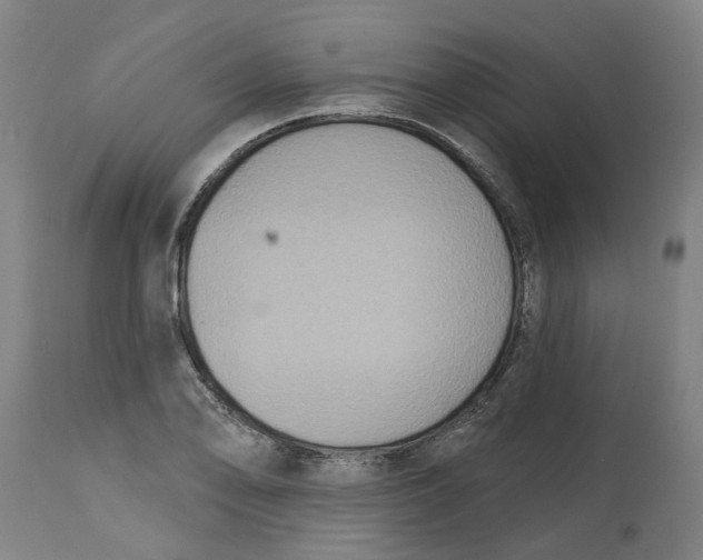 X0000114721078200911121727