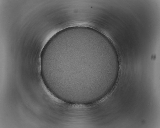 X0000114721079200911121727